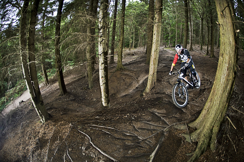 mountain biking in forest of dean