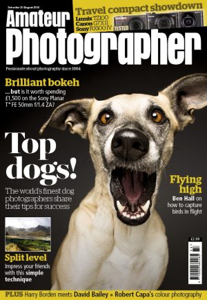 001 cover ap aug 20 2016 for web