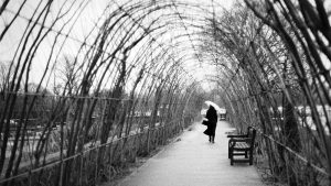 street photography