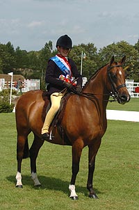RIHS 2004