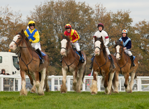 Racing Clydesdales Micheal Nolan, Nick Scholfield, Ian Popham, Hadden Frost