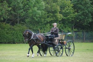Emily Ham and Crossfield Glory, private driving champion and concours d'elegance champion at Three Counties