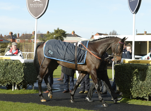 Sprinter Sacre Newbury