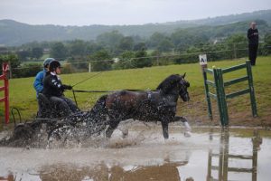 Crossfield Glory at a 1-day event
