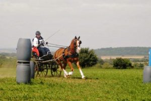 Emily Ham collecting Alfie for a turn