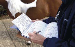 vetting a horse with paperwork and passport forms