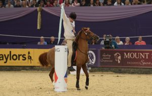 Mounted games pony