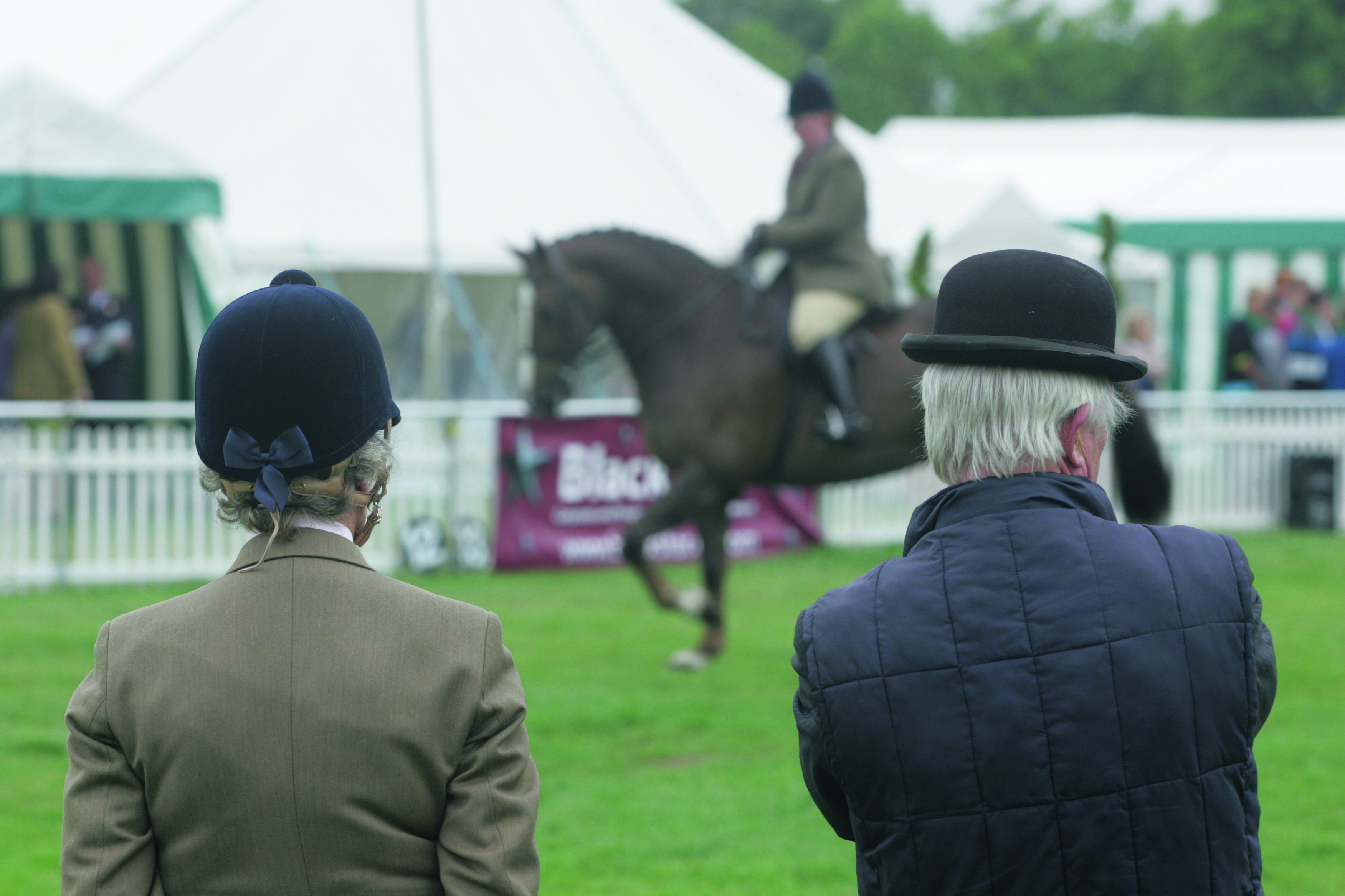 How to a ride judge in the showring Horse & Hound