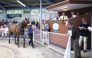 ASCOT SALES GV