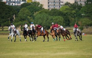 2015 "Ham Polo Club." " The re-emergence of Polo in Richmond Park".