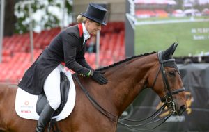 The Mitsubishi Motors Badminton Horse Trials on 08 05 2015
