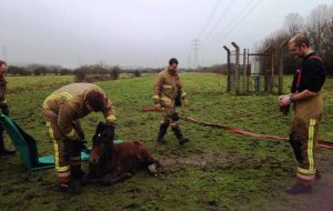 Rescue site