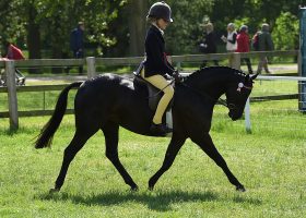 RWHS on 14 05 2016 RhoscElodie