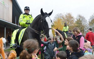Caesar police horse