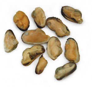 SEAMUSSELS