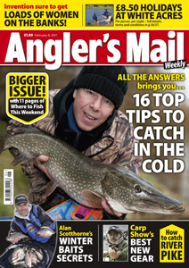 AM Cover Feb8.indd