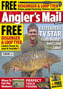 AMCoverMAY10