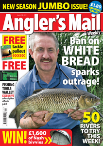 AM Cover June14.indd