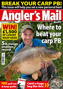 AMCoverAUG30