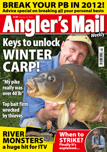 AMCoverJAN10