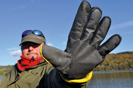 Glove