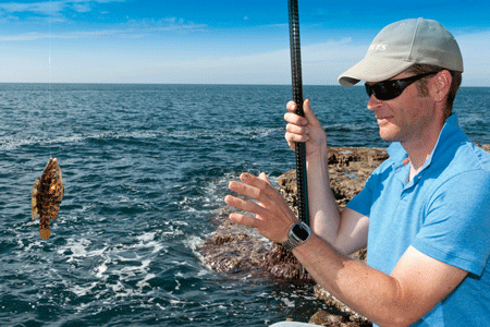 Rock fishing