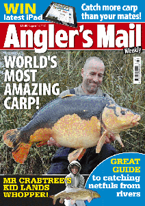 AMCOVERAUG14