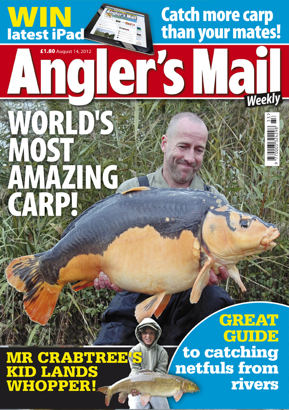 AMCOVERAUG14
