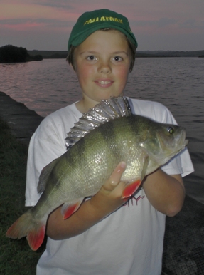 Jack Pomeroy with a new pb perch of 2lb 7oz caught from Tamar Lake with dad (and Pallatrax MD) Simon