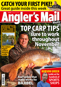 AMCOVEROCT30