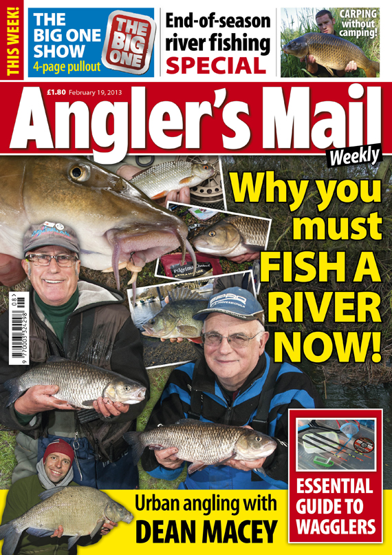 AMCOVERFEB19