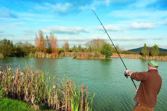 Tight line