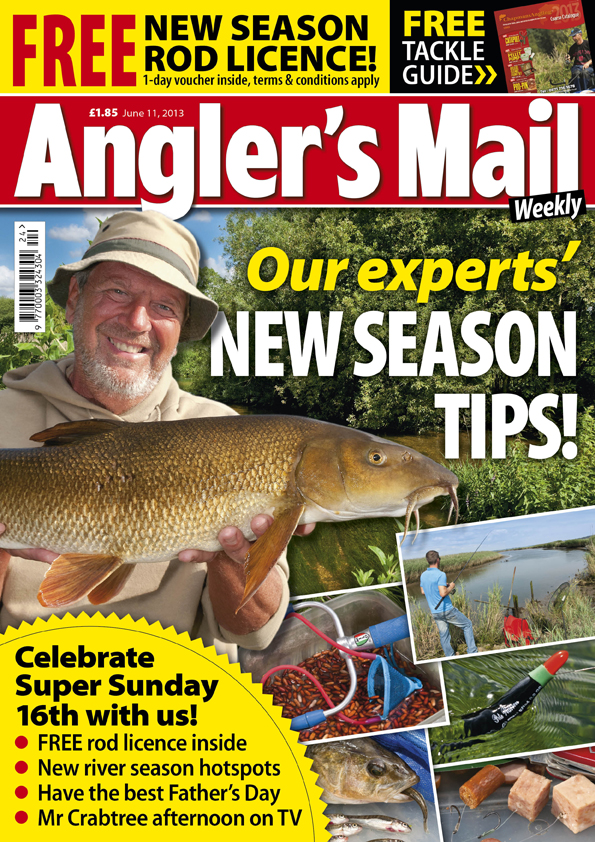 AM COVER JUNE11