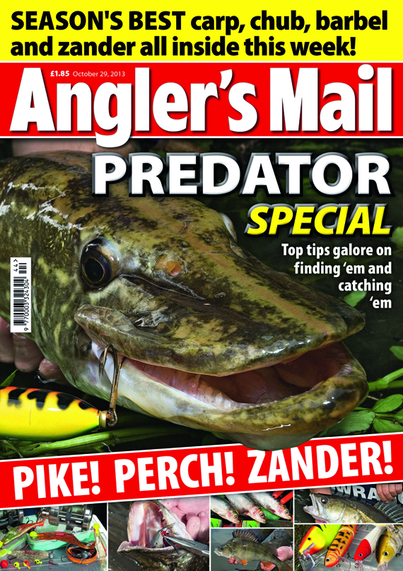 Be sure to get this week's brilliant new issue of Angler's Mail magazine! It's in shops from Tuesday, October 29.