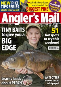 Be sure to get this week's brilliant new issue of Angler's Mail magazine! It's in shops from Tuesday, November 5.