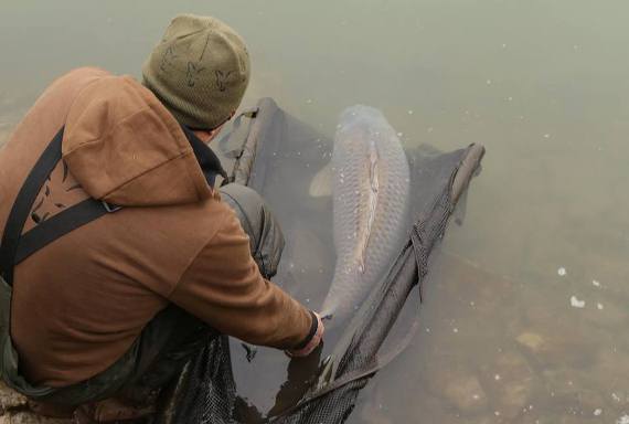 Steve bagged the biggest of the trip, it’s always a great moment watching a huge carp swimming back to the depths.