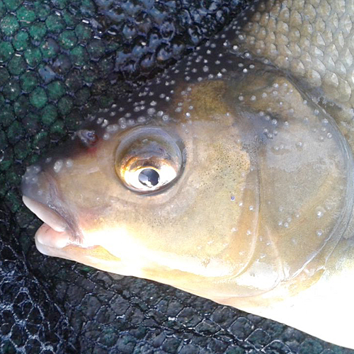 BLOG Sun Superstitions And Beliefs In Angling can Catch You More 