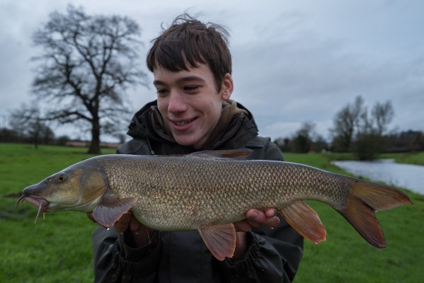 Alexs chubbier barbel