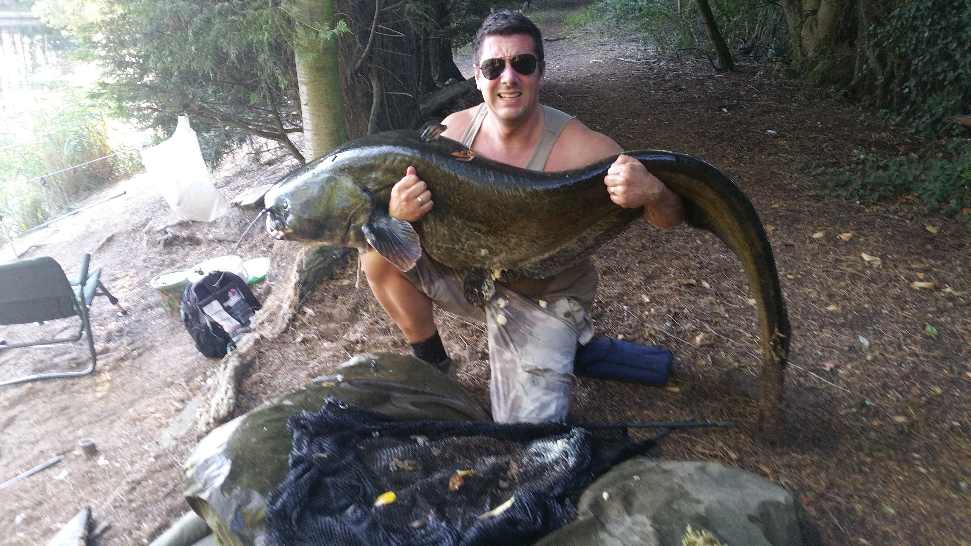 Stunning firstever UK catfish from day ticket venue