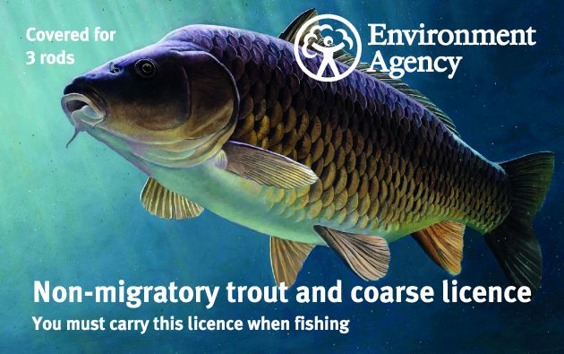 Rod licence 2018-2019: all you need to know about the new options