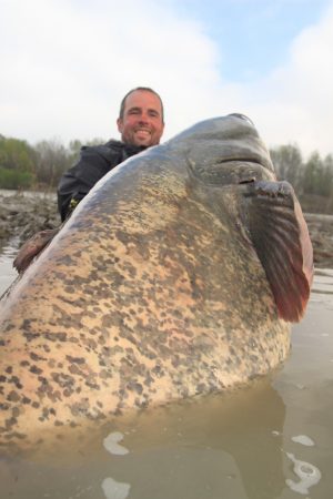 30th giant catfish over 220 lb