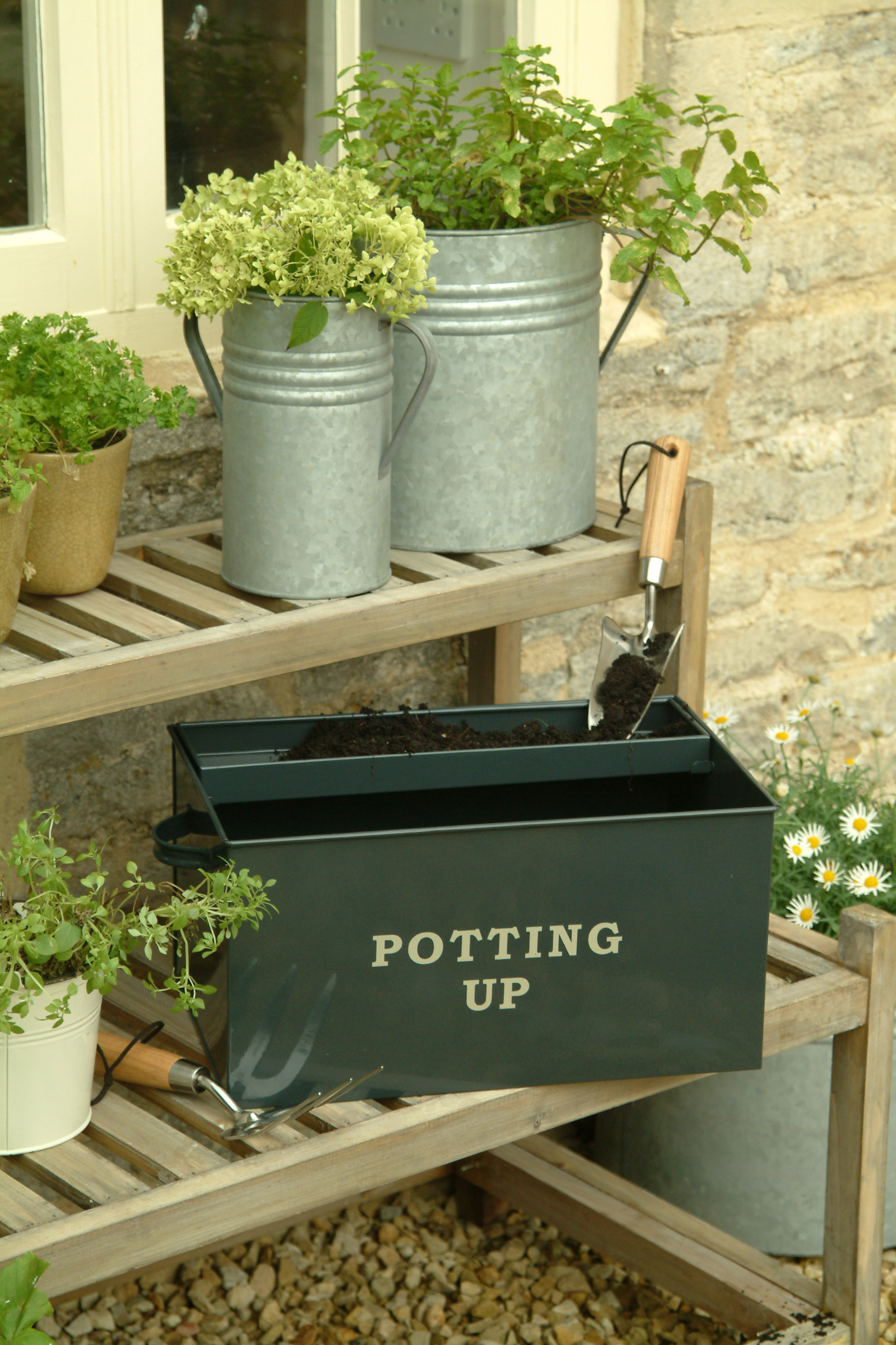 Product profile potting up box Amateur Gardening