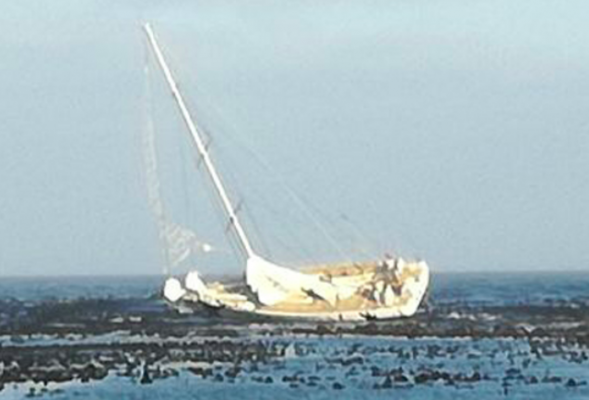 hollywood boulevard yacht salvage clipper round the world yacht race greenings out of the hollywood boulevard yacht salvage clipper round the world yacht race greenings out of the
