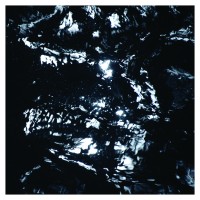 duanepitre-bayouelectric