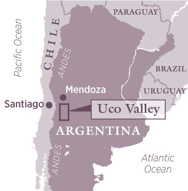 Argentina Wine Region Guides: Discover the Best Wine Regions