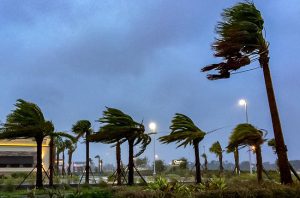 hurricane irma, florida
