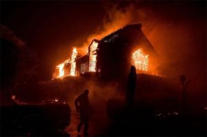 signorello winery fire, napa