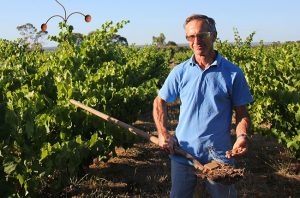 terroir soil, noon, mclaren vale