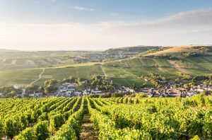 Sancerre,