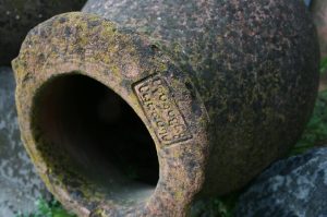 Tasting georgian wine